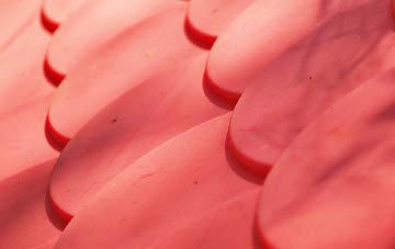 Whitecross plastic roof costs