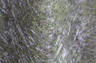 Whitecross fibreglass roof work